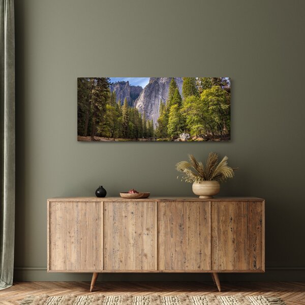 Slika stijena (120x50 cm)