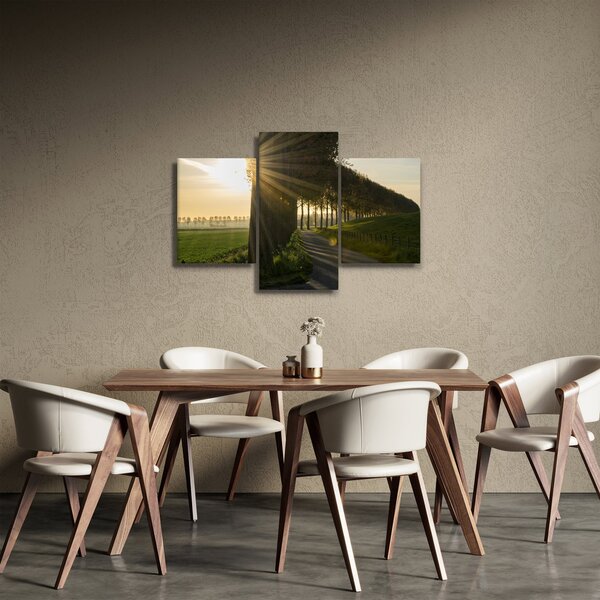 Slika aleja (90x60 cm)