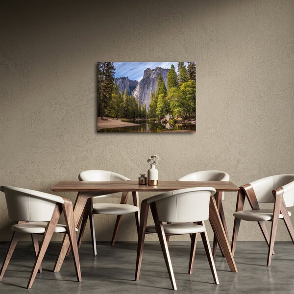 Slika stijena (70x50 cm)