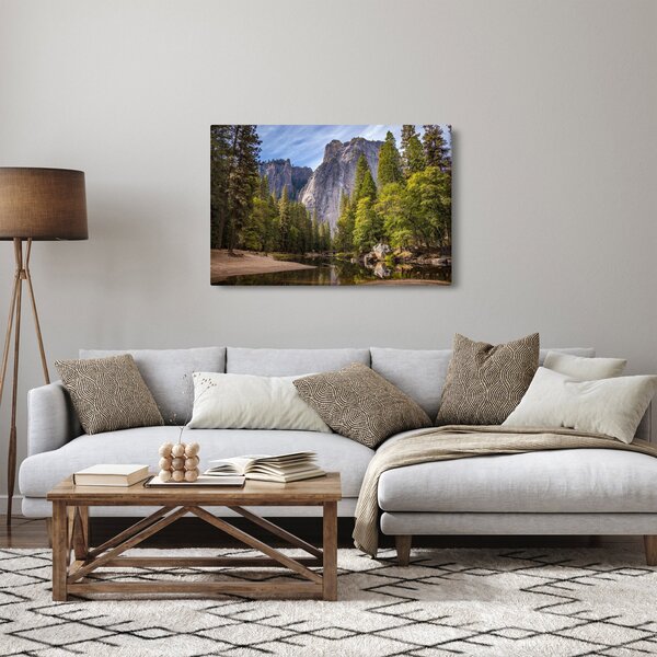 Slika stijena (90x60 cm)