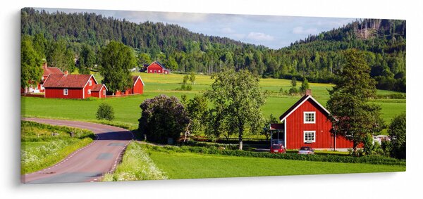 Slika sela (120x50 cm)