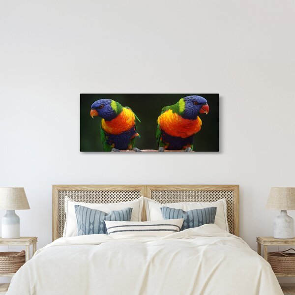 Slika papiga (120x50 cm)