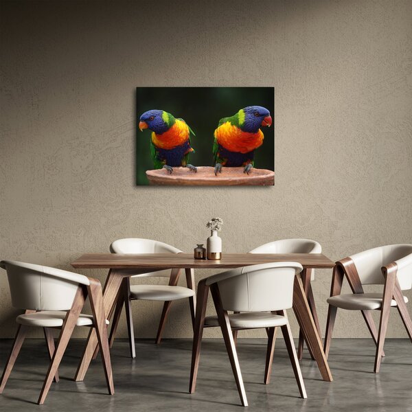 Slika papiga (70x50 cm)