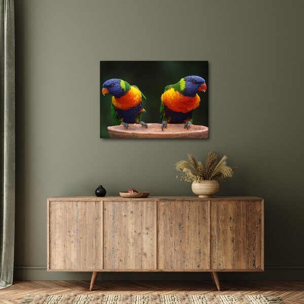 Slika papiga (70x50 cm)