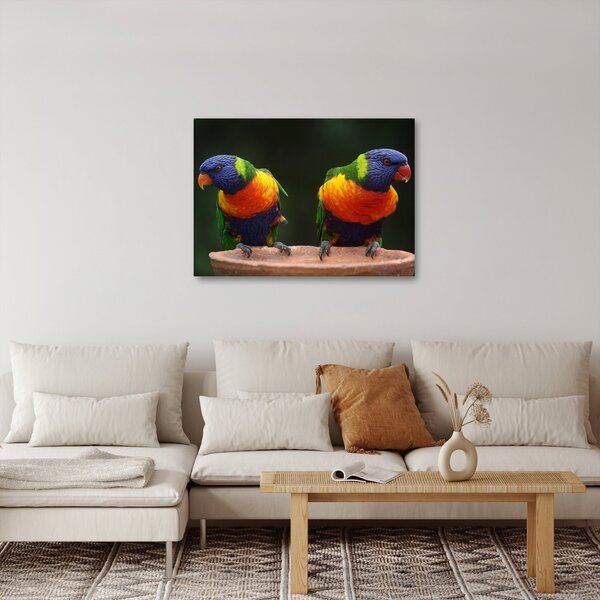 Slika papiga (70x50 cm)