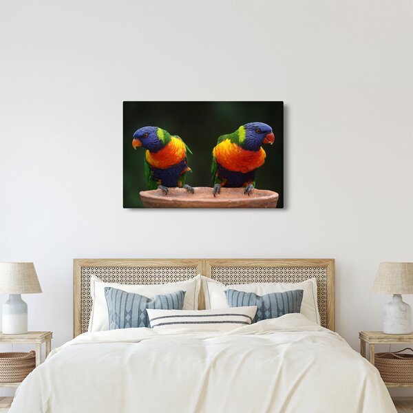 Slika papiga (90x60 cm)
