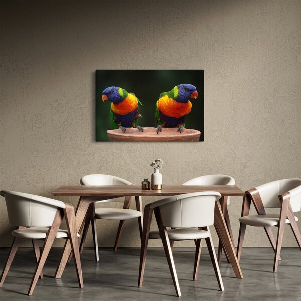 Slika papiga (90x60 cm)