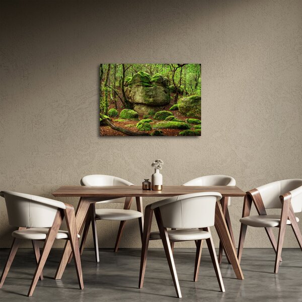 Slika čarobne šume (70x50 cm)