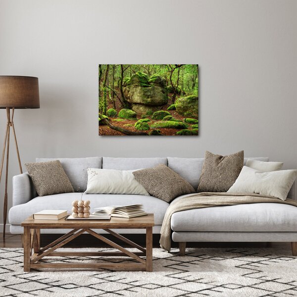 Slika čarobne šume (70x50 cm)