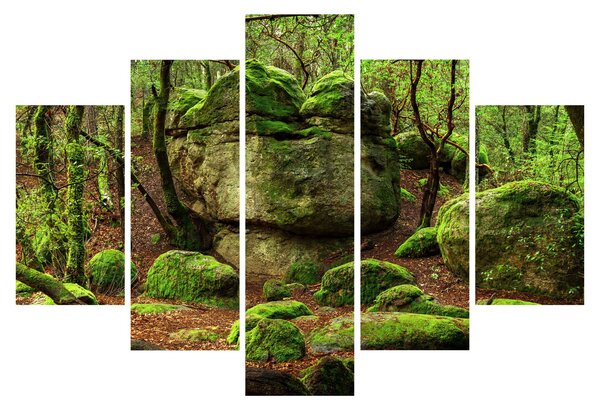 Slika čarobne šume (150x105 cm)