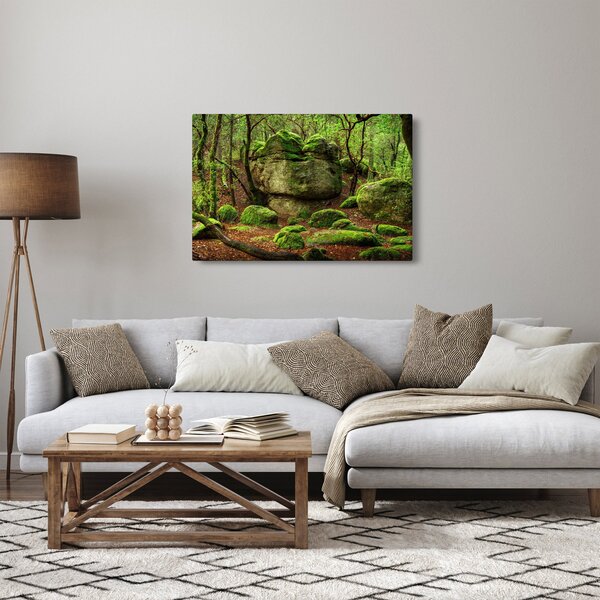 Slika čarobne šume (90x60 cm)