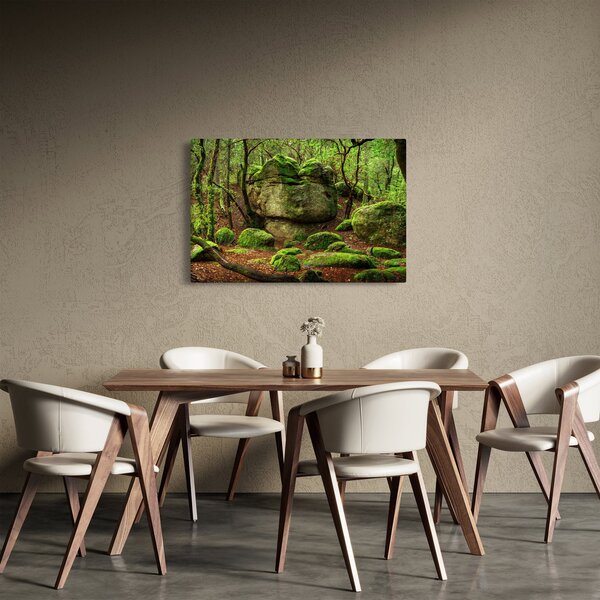 Slika čarobne šume (90x60 cm)