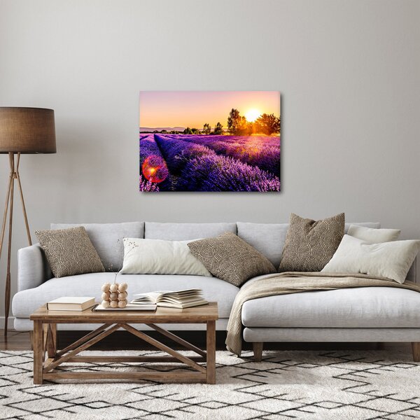 Slika polja lavande (70x50 cm)