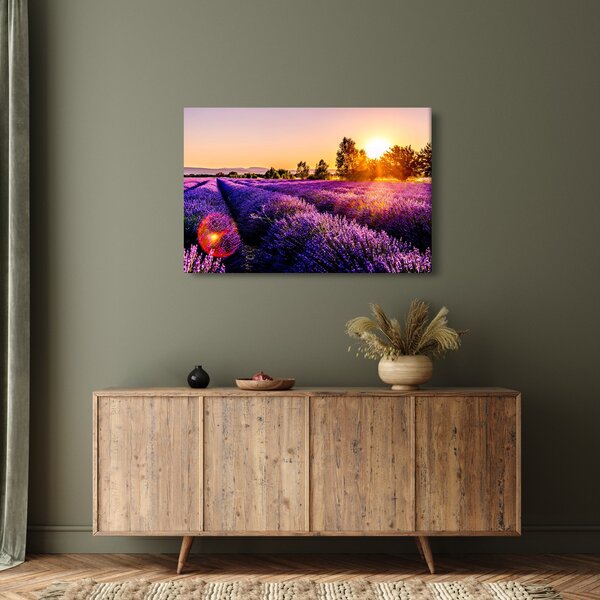 Slika polja lavande (90x60 cm)