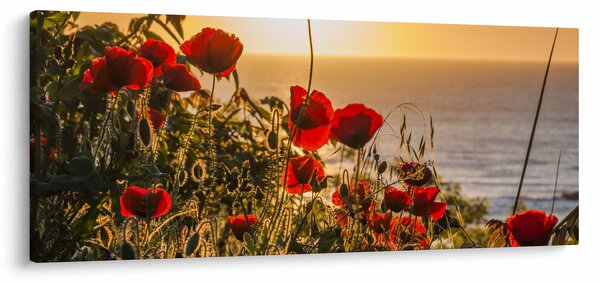 Slika zalaska sunca s makovima (120x50 cm)