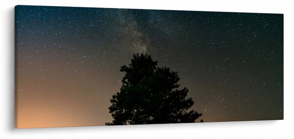 Slika noćnog neba s drvećem (120x50 cm)