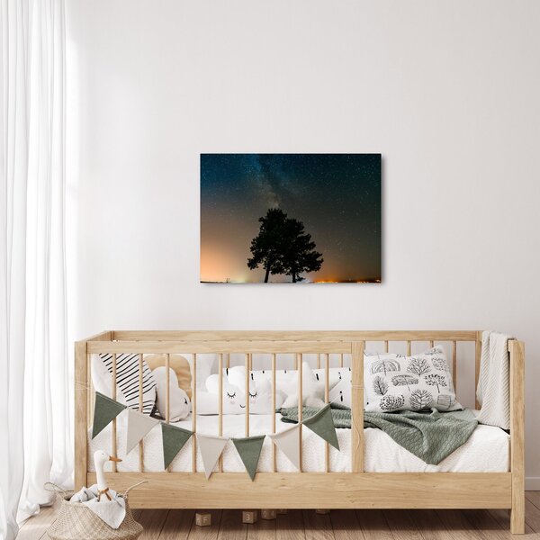 Slika noćnog neba s drvećem (70x50 cm)