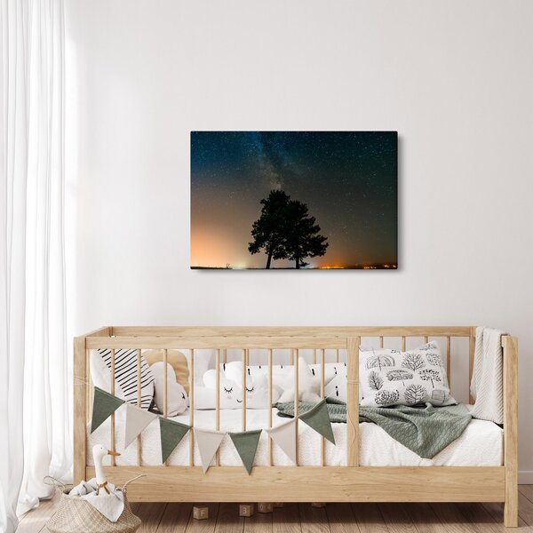 Slika noćnog neba s drvećem (90x60 cm)