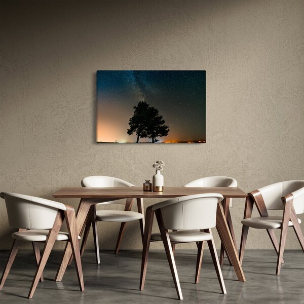 Slika noćnog neba s drvećem (90x60 cm)