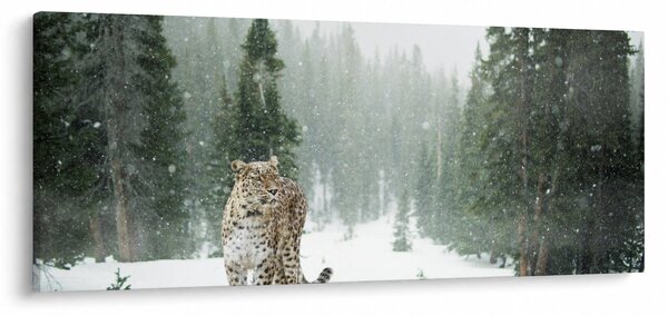 Slika leoparda u snijegu (120x50 cm)