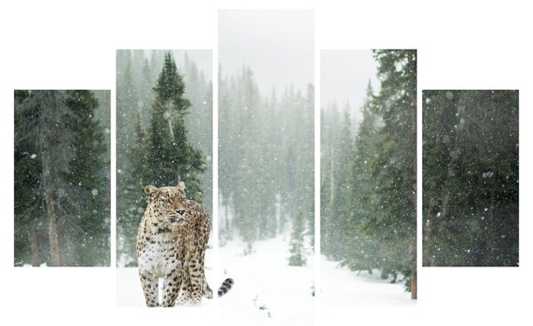 Slika leoparda u snijegu (150x105 cm)