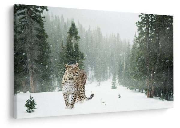 Slika leoparda u snijegu (90x60 cm)