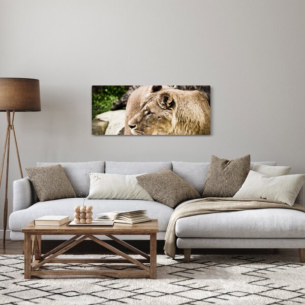 Slika lavice (120x50 cm)