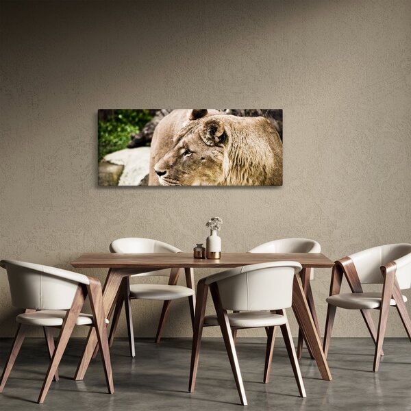 Slika lavice (120x50 cm)