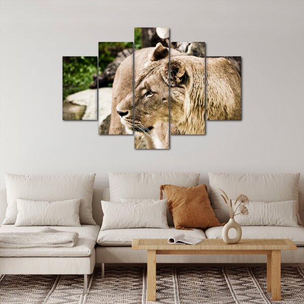 Slika lavice (150x105 cm)