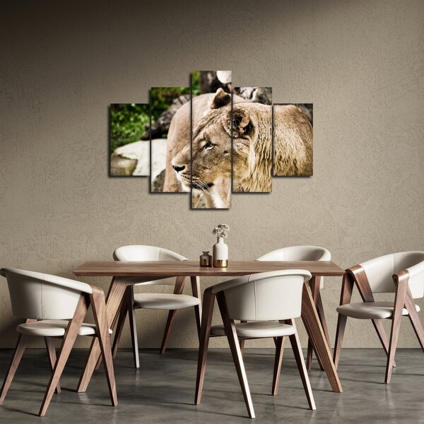 Slika lavice (150x105 cm)