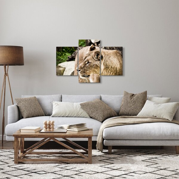 Slika lavice (90x60 cm)
