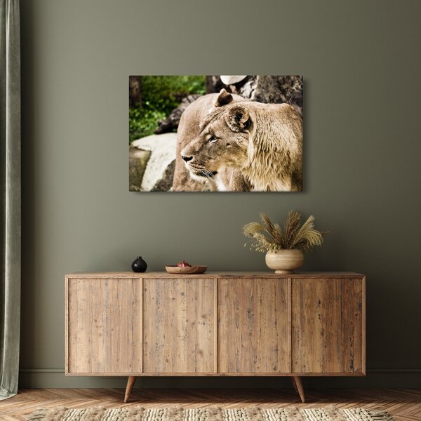 Slika lavice (90x60 cm)