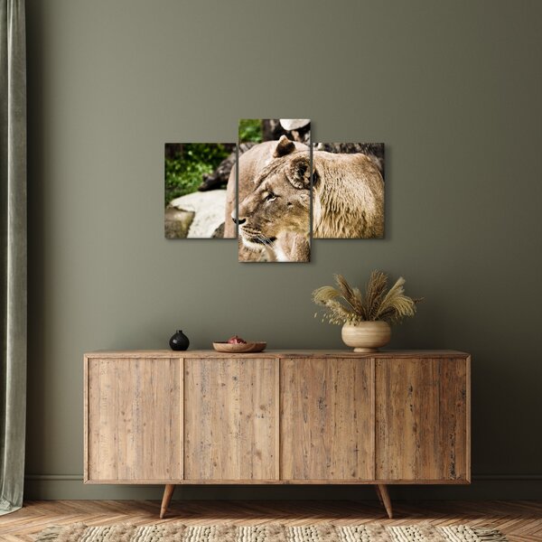 Slika lavice (90x60 cm)