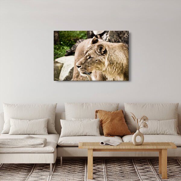 Slika lavice (90x60 cm)