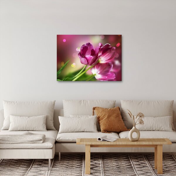 Slika ružičastih tulipana (70x50 cm)