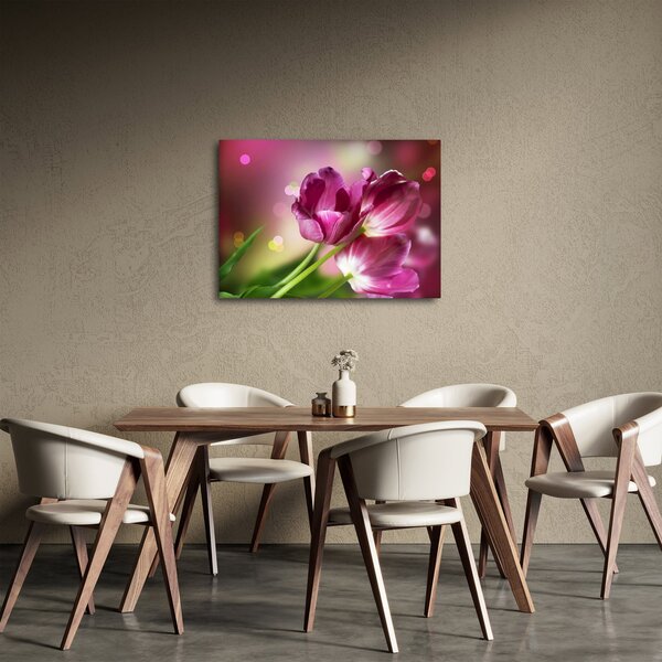 Slika ružičastih tulipana (70x50 cm)