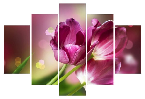 Slika ružičastih tulipana (150x105 cm)