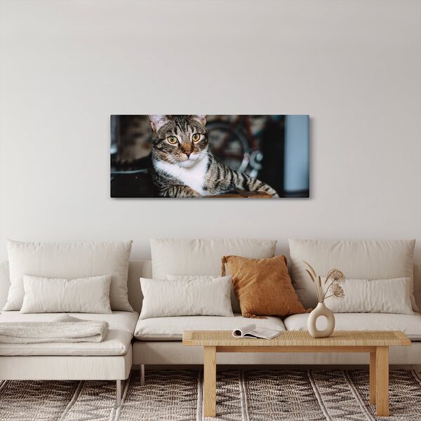 Slika mačke (120x50 cm)