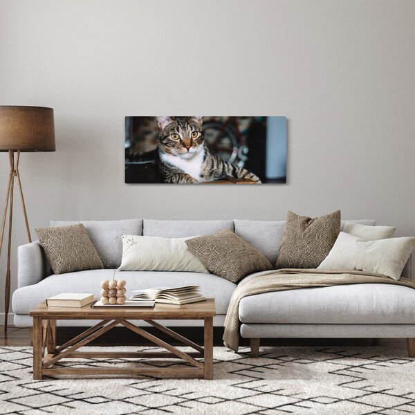 Slika mačke (120x50 cm)
