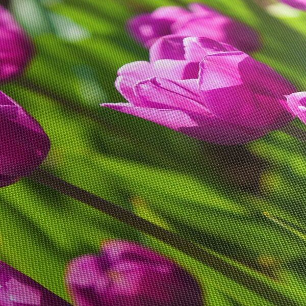 Slika tulipana na livadi (120x50 cm)
