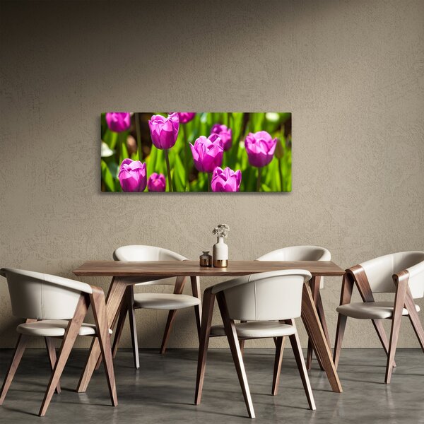 Slika tulipana na livadi (120x50 cm)