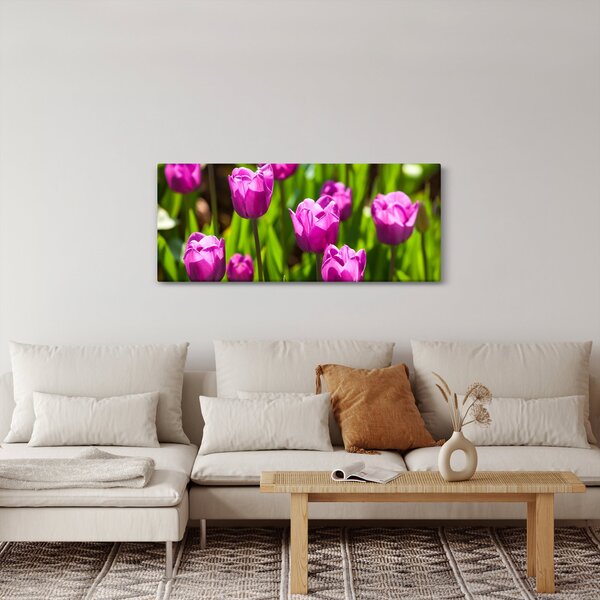 Slika tulipana na livadi (120x50 cm)