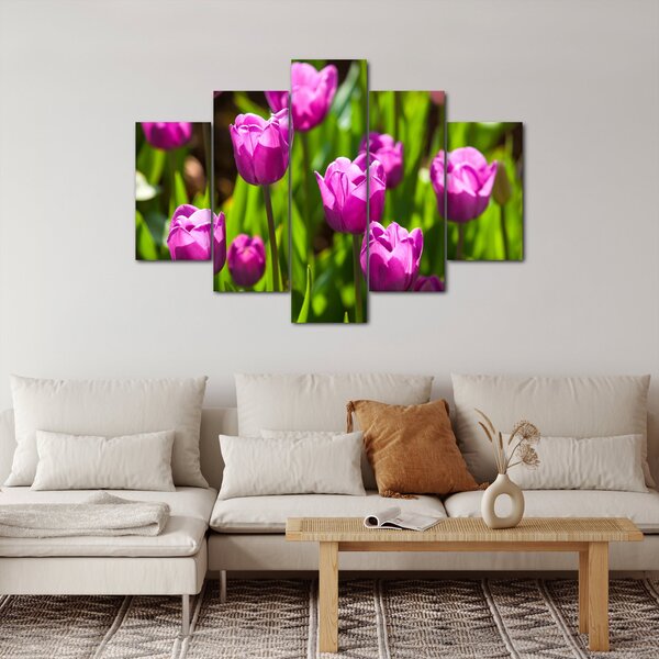 Slika tulipana na livadi (150x105 cm)