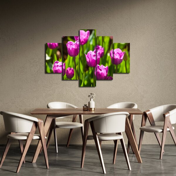 Slika tulipana na livadi (150x105 cm)