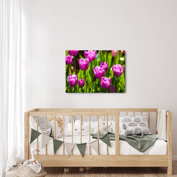 Slika tulipana na livadi (70x50 cm)