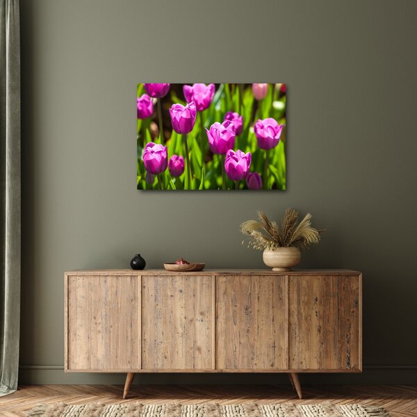 Slika tulipana na livadi (70x50 cm)