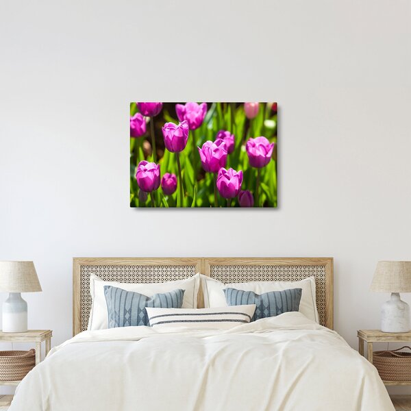 Slika tulipana na livadi (70x50 cm)
