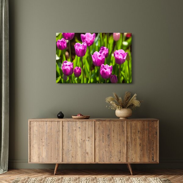 Slika tulipana na livadi (90x60 cm)