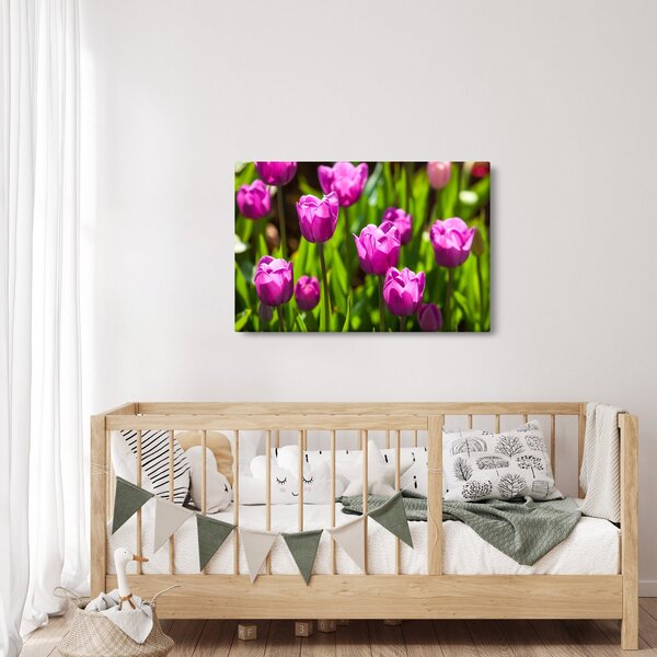 Slika tulipana na livadi (90x60 cm)