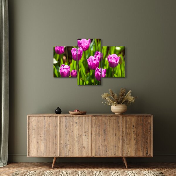 Slika tulipana na livadi (90x60 cm)